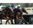  Carrera: P.Valderas Caballo: Octans Monta: V.Janacek